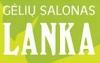 Daugiabučio namo savininkų bendrija Jaunimo 62