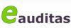 EAUDITAS, individuali veikla