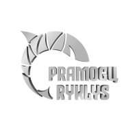 PRAMOGŲ RYKLYS, VšĮ