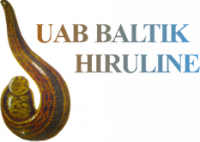 BALTIK HIRULINE, UAB