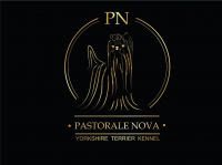 PASTORALE NOVA, veislynas