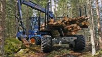 FORESTEDA, UAB -  miškininkystė, statybinės medienos pardavimas Šalčininkuose