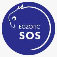 EGZOTICSOS, VšĮ