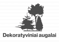 Dekoratyviniai augalai Telšiuose - medelynas, daugiametės gėlės, vaiskrūmiai ir vaismedžiai Telšiai, Klaipėda, Mažeikiai, Vakarų Lietuva