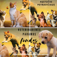 Kęstučio Petravičiaus veterinarinės paramos fondas