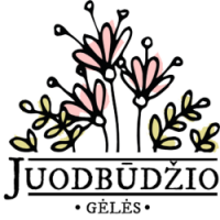 www.juodbudziogeles.lt - vienmetės ir daugiametės gėlės, Vaidos Pranaitytės gėlių ūkis