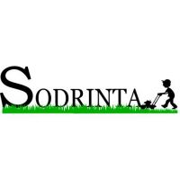 SODRINTA, MB - sodo technika, vejapjovės, trimeriai, krūmapjovės, kultivatoriai, elektros generatoriai, oro kompresoriai prekyba Klaipėdoje
