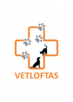 Vetloftas, MB