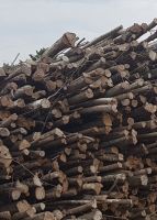 Kertu mišką, MB miškų supirkimas, miškininkystės paslaugos Druskininkai ,Varėna, Alytus , Lazdijai ,Pietų Lietuva