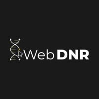Web dnr projektai, MB