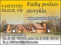 VAIKYSTĖS ŠILELIS, VšĮ