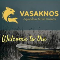 VASAKNOS, AB